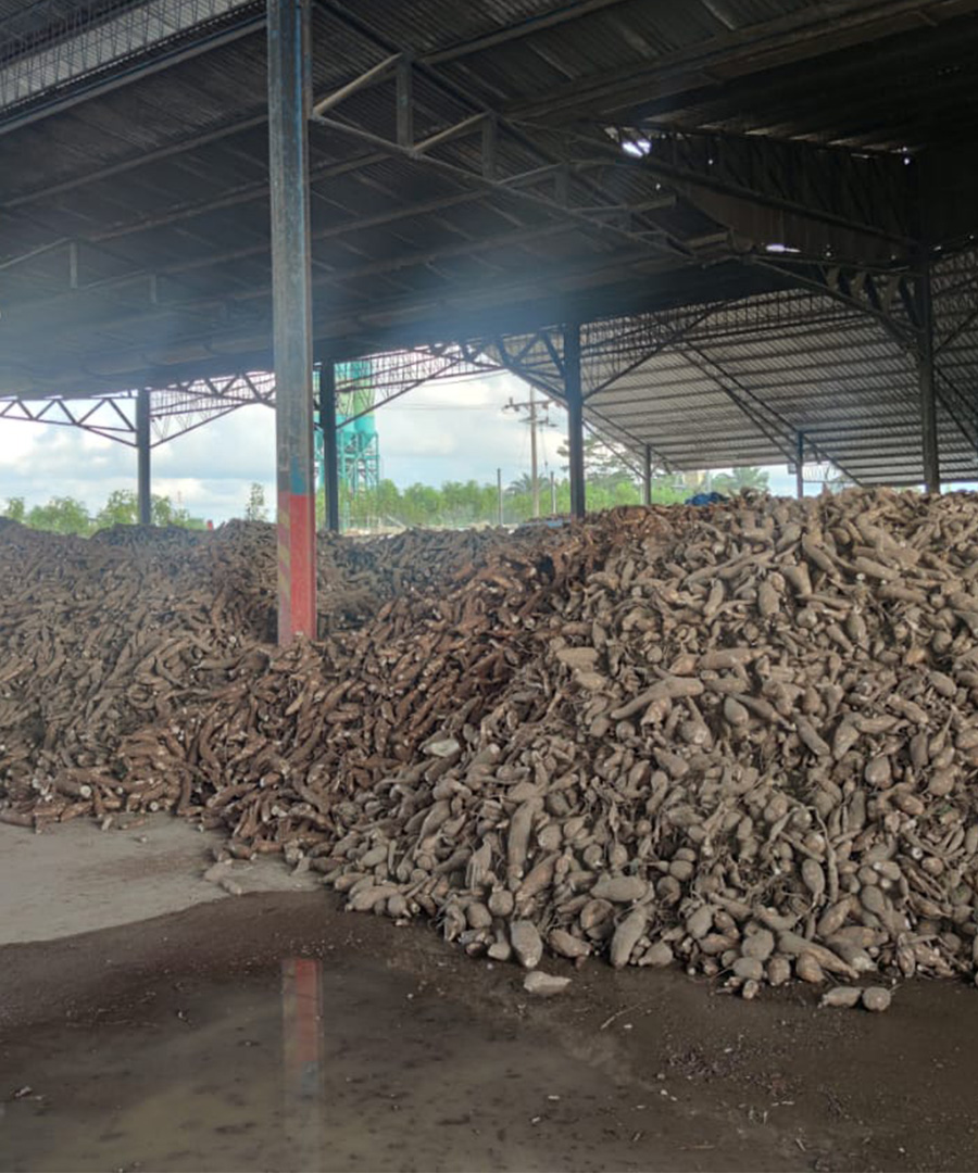 Dark Roast Iced Coffee